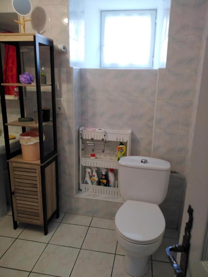 Apartamento Chaleureux A La Campagne Saint-Germain-Laprade Exterior foto